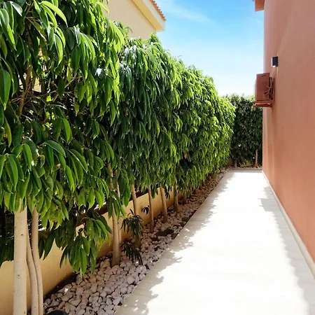 Anil Meloneras Villa San Bartolome de Tirajana (Gran Canaria)
